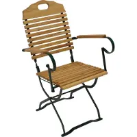 Degamo Gartensessel BAD TÖLZ Flachstahl grün + Holz Robinie, klappbar Armlehnen