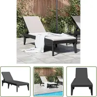 The Living Store Sonnenliege Anthrazit 186x60x29 cm PP