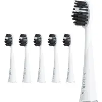 Ailoria Shine Bright Charcoal Ersatzbürstenköpfe 6er Set 1 St