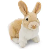 Nici ,Kuscheltier Hase 20cm,62601