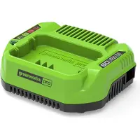 Greenworks 2932007, Ladegerät, , Grün, AC, Lithium-Ion (Li-Ion), Acrylnitril-Butadien-Styrol (ABS)