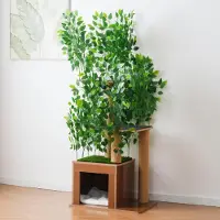 MODFU Katzenkratzbaum Kletterbaum,Baumstruktur Mit Drei Plattformen – Mit Katzenbett Und Verstecklöchern Für Rückzug Und Spiel Im Wohnraum,Grün