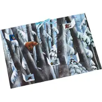 Sonstige Verlage Winter im Bärenwald Adventskalender