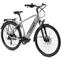 Tretwerk E-Bike "Sonic" Gr. 50, grau, Elektrofahrräder, 50cm, 28 Zoll (71,12cm), E-Bike, Pedelec, Elektrofahrrad für Damen u. Herren