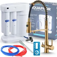 ARI Aquaphor Morion 101S RO Trinkwasserfilter-Set + SOLID SPRING Dreiwege-Küchenarmatur, gebürstetes Gold