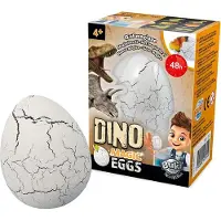 Buki Dino Oeuf Magique, Animations-Set für Kinder, 4 Jahr(e), Mehrfarbig