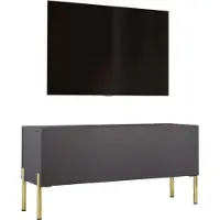 3Xeliving TV-Schrank : Anthrazit mit Beinen in Gold, 100 x 52 x 32 cm