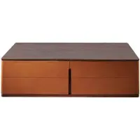 AEA Wohnzimmer Couchtisch Orange Luxus Material Holz Stil Moderne Tische