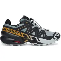 Salomon - Speedcross 6 Gore-Tex - Trailrunningschuhe Gr 40 grau