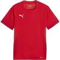 Puma teamGOAL Matchday Jersey jr