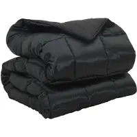 vidaXL Winterbettdecke 135 x 200 cm 450 g/m² Schwarz