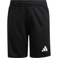 Adidas Torwartshorts für Kinder Tierro 2026