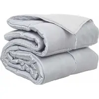 vidaXL Ganzjahresbettdecke 200 x 200 cm 300 g/m² Silber