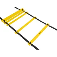 ACRA Agility-Trainingsleiter 5 m