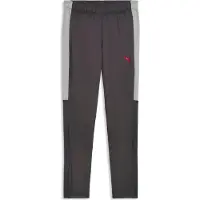 Puma Herren Sporthose IndividualLIGA Training Pants
