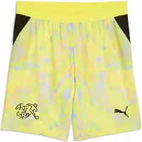 Puma SFV Shorts Replica GK Jr