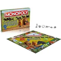 Winning Moves Monopoly Pferde und Ponys Brettspiel von , Familienspiel, Kinderspiel, Grünes Design