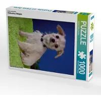 CALVENDO Ein Motiv aus dem Kalender Chihuahua Welpen 1000 Teile Puzzle hoch 480x640mm, Wejat-Zaretzke Gabriela; 7273868