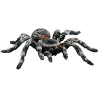 BULLYLAND Weißknie Vogelspinne, 3 Jahr(e), Schwarz, 1 Stück(e)