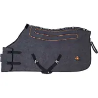 Sunride Heizdecke St. Moritz mit Powerbank - grau, Größe 145 cm