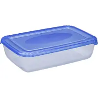 PLAST TEAM Vertriebs GmbH plast team Gefrierdose Polar 0,45 Liter blau rechteckig