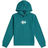O'Neill Essentials Script Hoodie botanical heat (15097) 164
