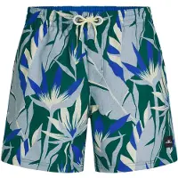 O'Neill Print 16'' Swimshorts blue tropicana big (35201) XS