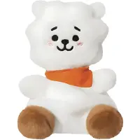 Aurora World , 61505, BT21 RJ Palm Pal, 13cm, Eco-Friendly Plüschtier. Weß, Weiß