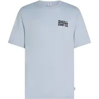 O'Neill - Graphic Logo T-Shirt - T-Shirt Gr XXL grau