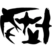 Esschert Design Vogelsilhouetten