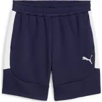Puma Teamevostripe Shorts navy-silver-white (06) XS