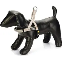 Beeztees Parinca Premium Comfort - Hundegeschirr - Nylon - Hellgrau -