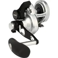 Penn Fathom II 40NLD2 Rolle - Rechtshand Multirolle