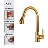 OEM Küchenarmatur, Ausziehbare Sprühfunktion, Doppelgriff, cf04043-GOLD