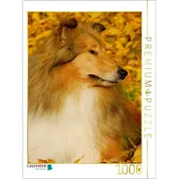 CALVENDO 4059478920705 Collie - Herbstfarben 1000 Teile Lege-Größe 48 x 64 cm Foto-Puzzle Bild von Starick Sigrid, Weiß, 1000 Stück(e), andere, 14 Jahr(e)