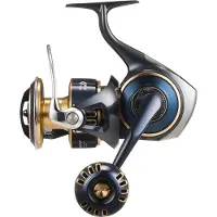 Daiwa 25 Saltiga (G) 8000-P