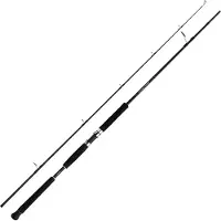 Shimano Fishing Beastmaster Ax Pilk Jiggingrute Silber 2.40 m / 150-300 g Silber 2.40 m
