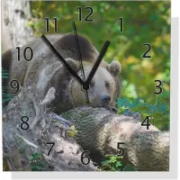 Wallario Design Wanduhr Bär im Wald aus Aluverbund, Größe 30 x 30 cm