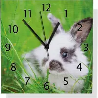 Wallario Design Wanduhr Süßer Hase im grünen Gras aus Aluverbund, Größe 30 x 30 cm