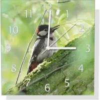 Wallario Design Wanduhr Specht im grünen Versteck aus Aluverbund, Größe 30 x 30 cm