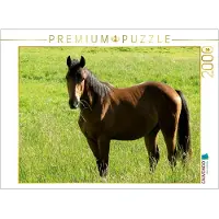 CALVENDO 4059478949201, 2000 Stück(e), Tiere, 14 Jahr(e)
