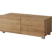 Lomadox Wohnzimmer TV Lowboard mit 2 Türen, stehend oder hängend, in Eiche Gold Nb. CAIRNS-132, B/H/T ca. 100/37/43 cm
