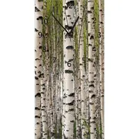 Wallario Design Wanduhr Birkenwald - Baumstämme in schwarz weiß aus Echtglas, Größe 30 x 60 cm