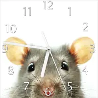 Wallario Design Wanduhr Maus am Tellerrand aus Echtglas, Größe 20 x 20 cm