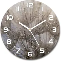 Tulup Wanduhr aus Glas 30fi Glasbild Glasuhr Gehärtetes Glas - weisse-zeiger - Dandelion seeds