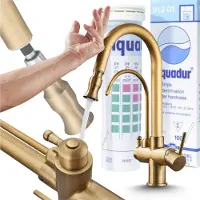 ARI 3-Wege Küchenarmatur Parma mit Wasserfilter-Anschluss, herausziehbare Brause, 360° schwenkbar, getrennte Wasserwege, Keramikkartusche Gold