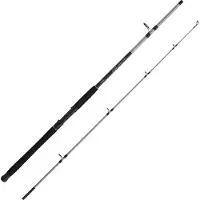 Mitchell Tanager Sw Spinnrute Weiß 2.42 m / 100-200 g Weiß 2.42 m