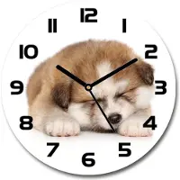 Tulup Wanduhr aus Glas 30fi Glasbild Glasuhr Gehärtetes Glas - schwarze-zeiger - Akita puppy