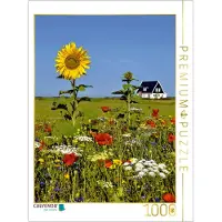 CALVENDO Puzzle – Ein Sommertag – Den Burg | 1000 Teile, fertige Größe: 64 x 48 cm | Fotopuzzle für entspannte Stunden