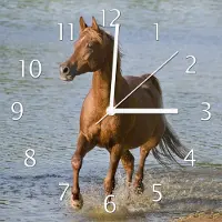 Wallario Design Wanduhr Braunes Pferd am Meer Araber am Wasser aus Echtglas, Größe 30 x 30 cm
